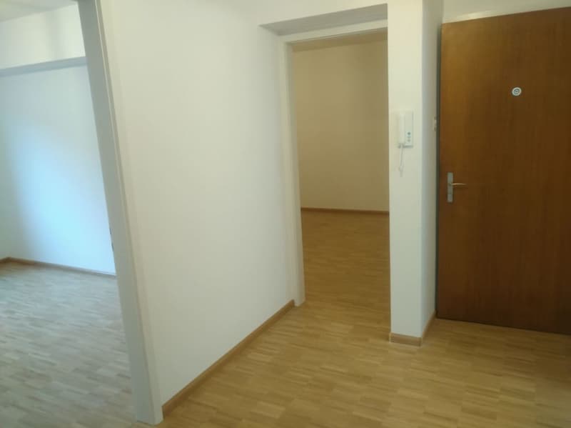 Beautiful apartment in the green (5)