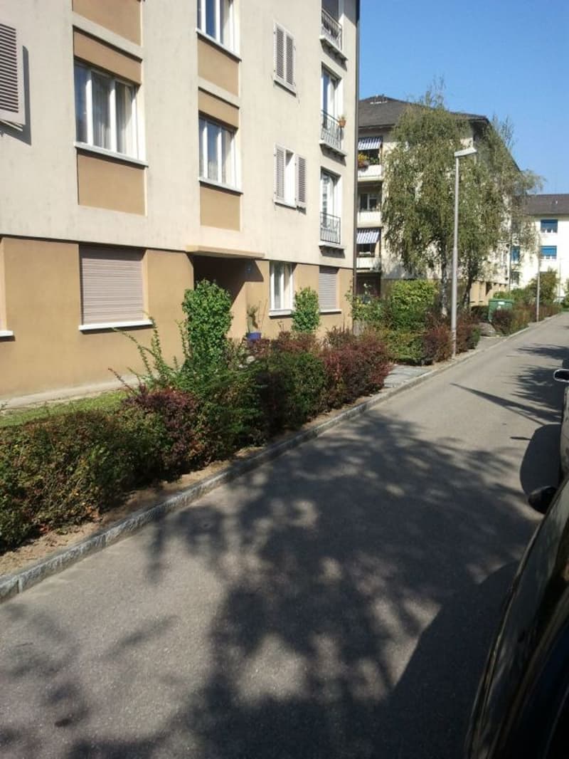 Beautiful apartment in the green (7)