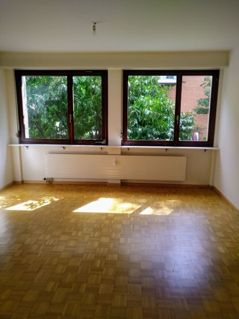 Grande appartamento vicino al centro fieristico (4)