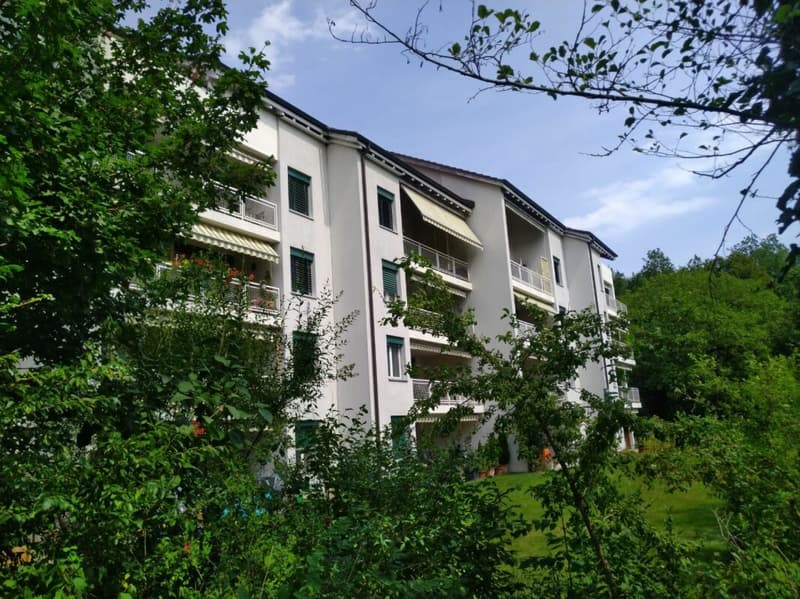 Grosse Wohnung an beliebter Lage mit sonnigem Balkon (1)