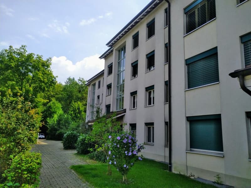 Grosse Wohnung an beliebter Lage mit sonnigem Balkon (2)