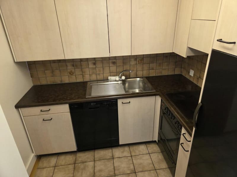 Heimelige Wohnung an zentraler Lage (3)