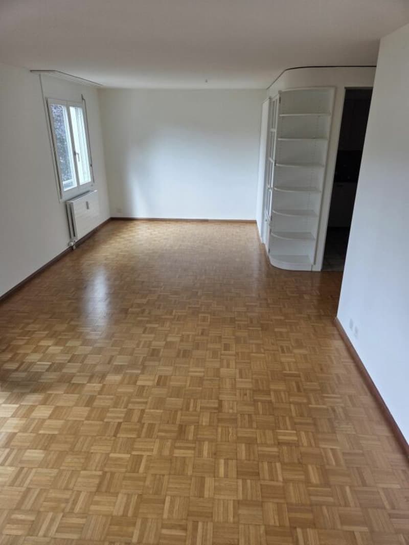 Heimelige Wohnung an zentraler Lage (4)