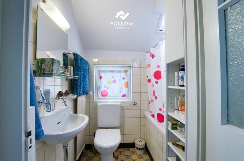 Family Home or Investment Opportunity: Charm and Plenty of Space for Your Visions (30)