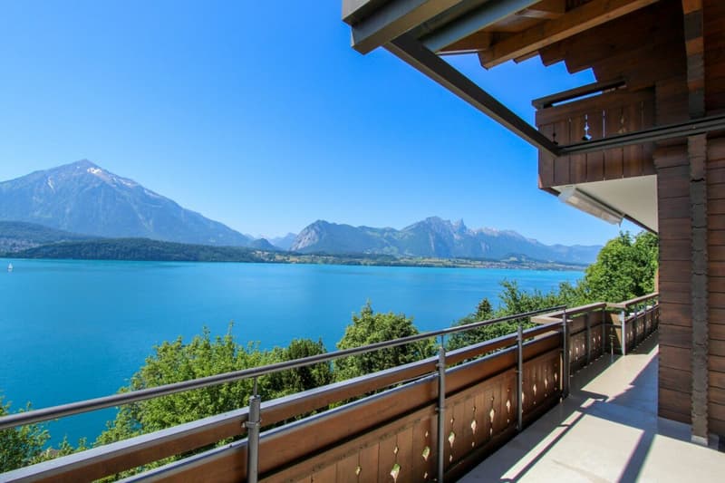 4,5-Zimmer-Oase am Thunersee mit Blick auf den Niesen Kopie (8)