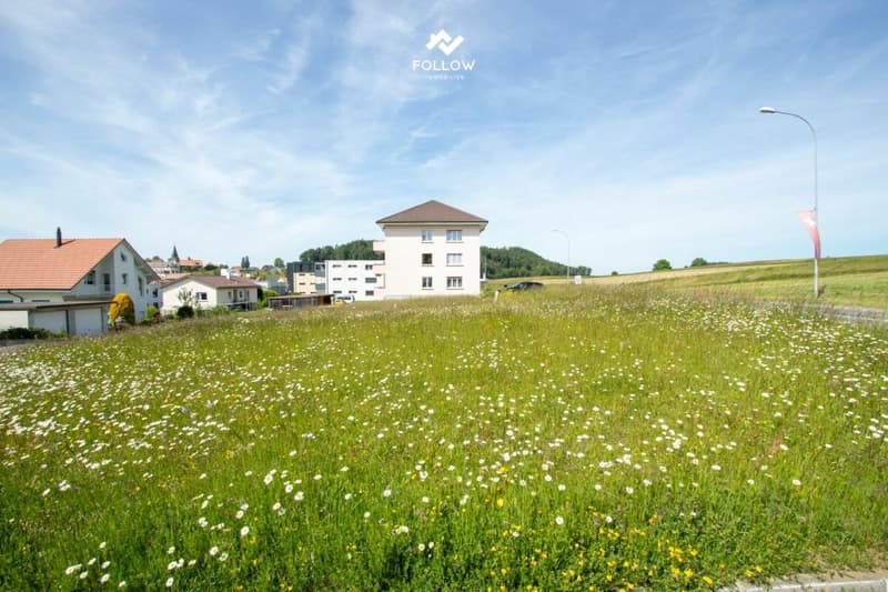 Mehrfamilienhaus mit Entwicklungspotenzial und zusätzlicher Bauparzelle in Heitenried (13)