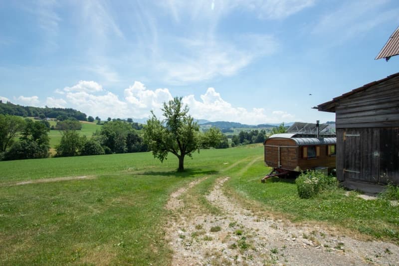 More than a farmhouse - three apartments and countless possibilities (17)