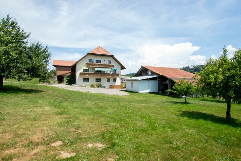 More than a farmhouse - three apartments and countless possibilities (1)