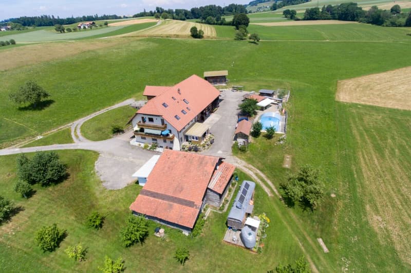 More than a farmhouse - three apartments and countless possibilities (2)