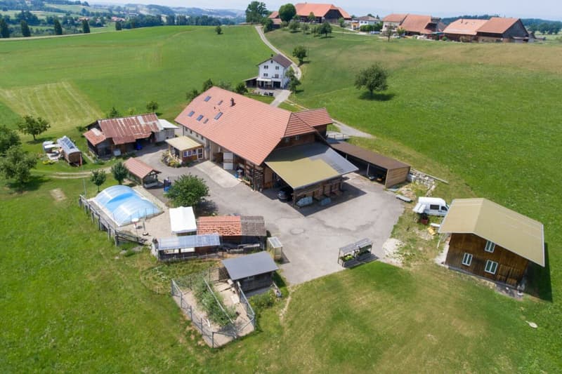 More than a farmhouse - three apartments and countless possibilities (3)