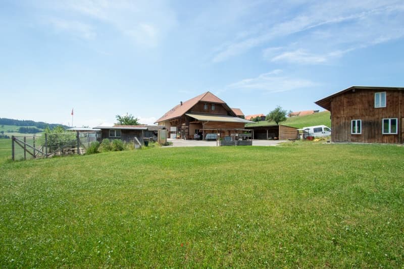 More than a farmhouse - three apartments and countless possibilities (4)