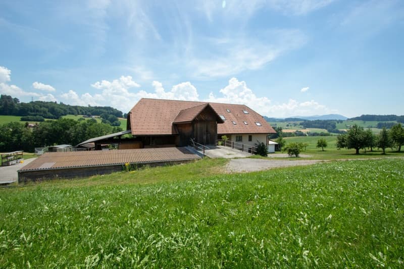 More than a farmhouse - three apartments and countless possibilities (5)