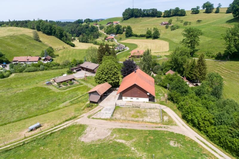 Stark renovationsbedürftiges Bauernhaus mit Ökonomieteil in der Landwirtschaftszone (4)