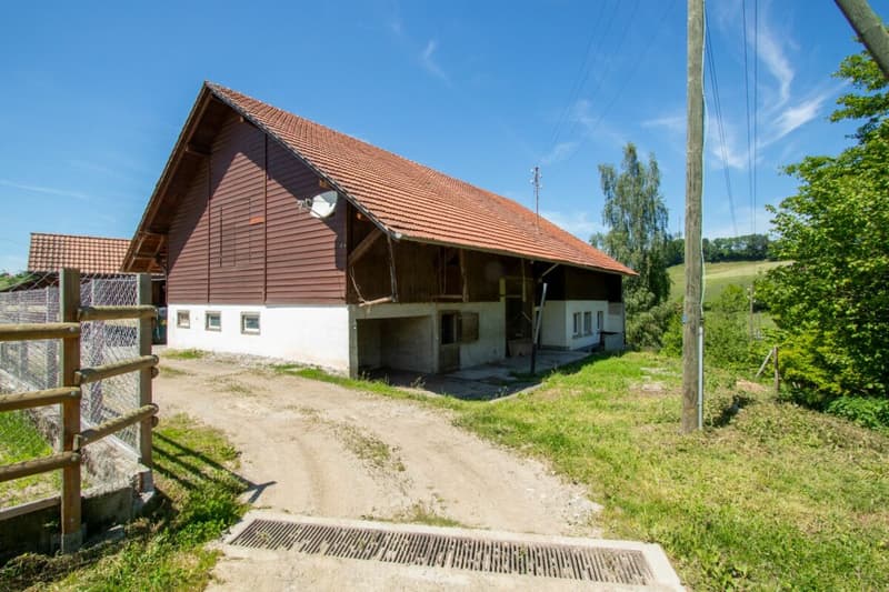 Stark renovationsbedürftiges Bauernhaus mit Ökonomieteil in der Landwirtschaftszone (1)