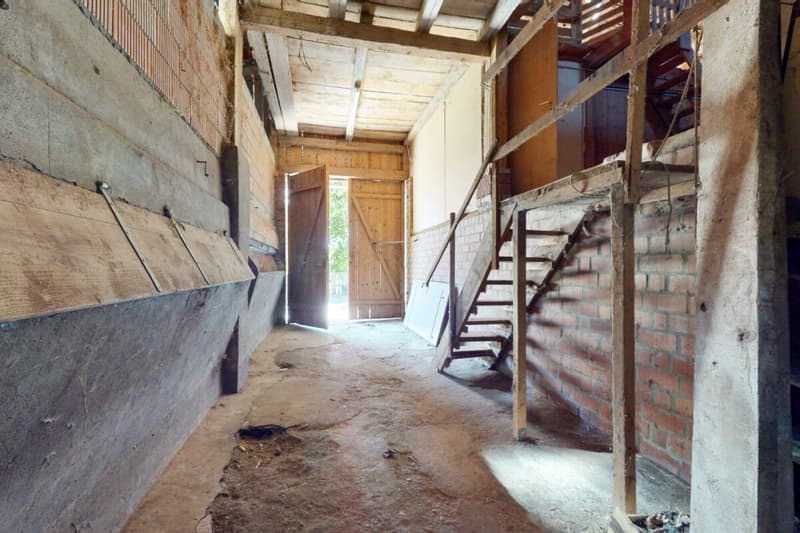 Stark renovationsbedürftiges Bauernhaus mit Ökonomieteil in der Landwirtschaftszone (13)