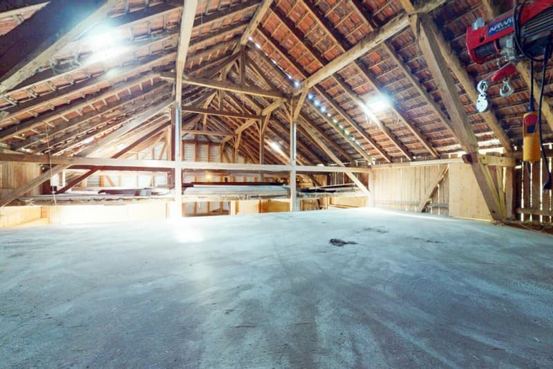 Stark renovationsbedürftiges Bauernhaus mit Ökonomieteil in der Landwirtschaftszone (12)