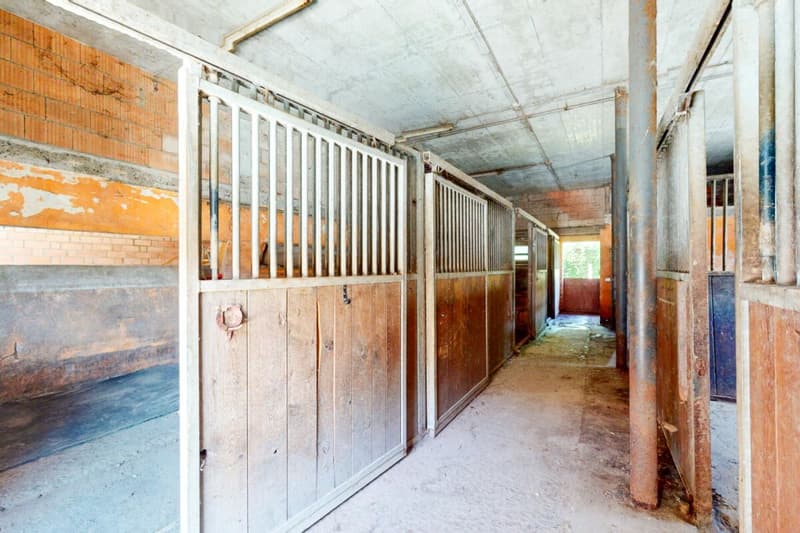 Stark renovationsbedürftiges Bauernhaus mit Ökonomieteil in der Landwirtschaftszone (14)