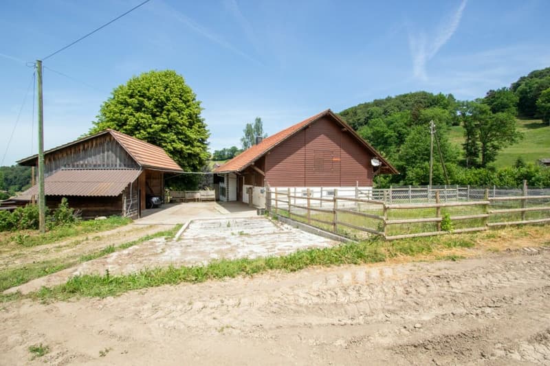 Stark renovationsbedürftiges Bauernhaus mit Ökonomieteil in der Landwirtschaftszone (2)