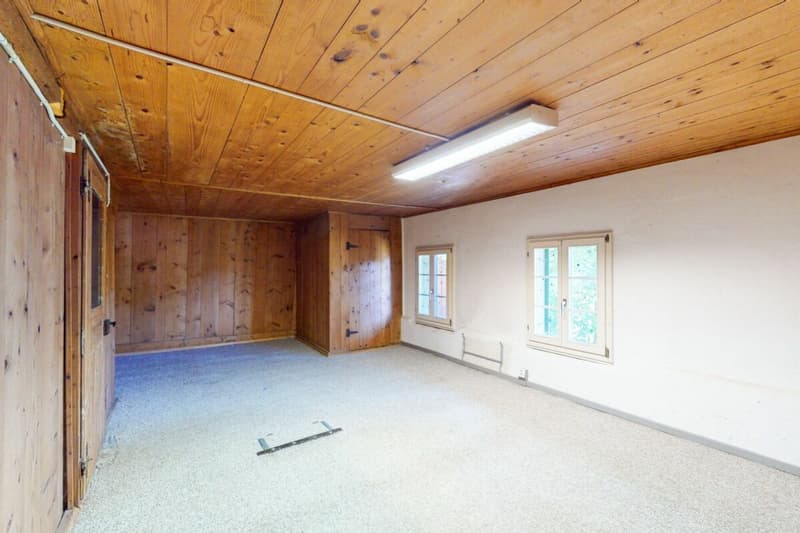 Stark renovationsbedürftiges Bauernhaus mit Ökonomieteil in der Landwirtschaftszone (9)