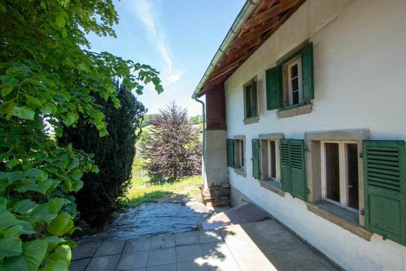 Stark renovationsbedürftiges Bauernhaus mit Ökonomieteil in der Landwirtschaftszone (3)