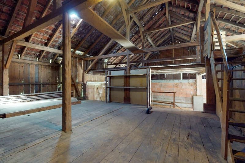 Stark renovationsbedürftiges Bauernhaus mit Ökonomieteil in der Landwirtschaftszone (11)