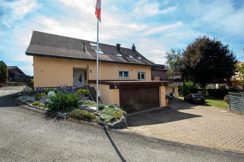 aussergewöhnliche 3,5-Zimmer-Wohnung mit viel Charme und 2 Terrassen (2)