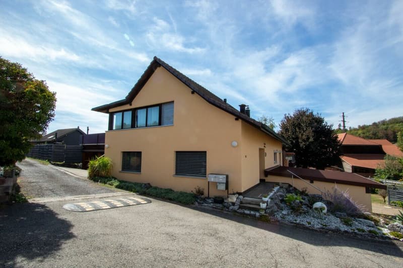aussergewöhnliche 3,5-Zimmer-Wohnung mit viel Charme und 2 Terrassen (1)