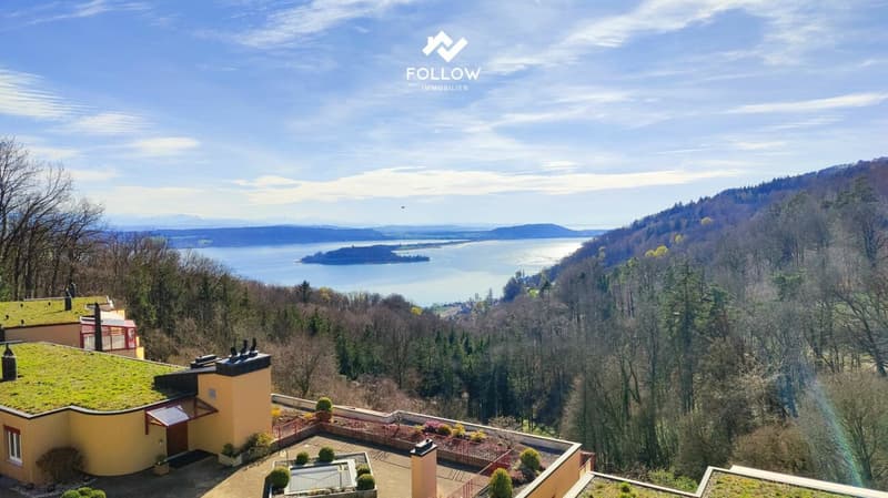 Panoramablick über den Bielersee: Modernisierte Attika-Traumwohnung in Twann (1)
