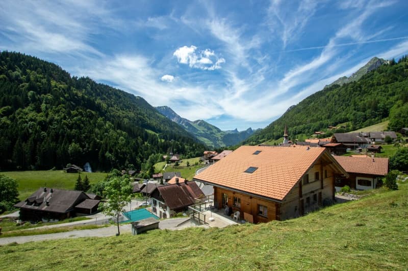 Mein Zuhause in den Bergen - 5.5 Zimmer zum Wohnen und Geniessen (1)