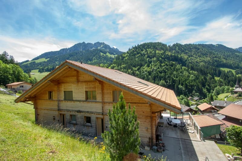 Mein Zuhause in den Bergen - 5.5 Zimmer zum Wohnen und Geniessen (2)