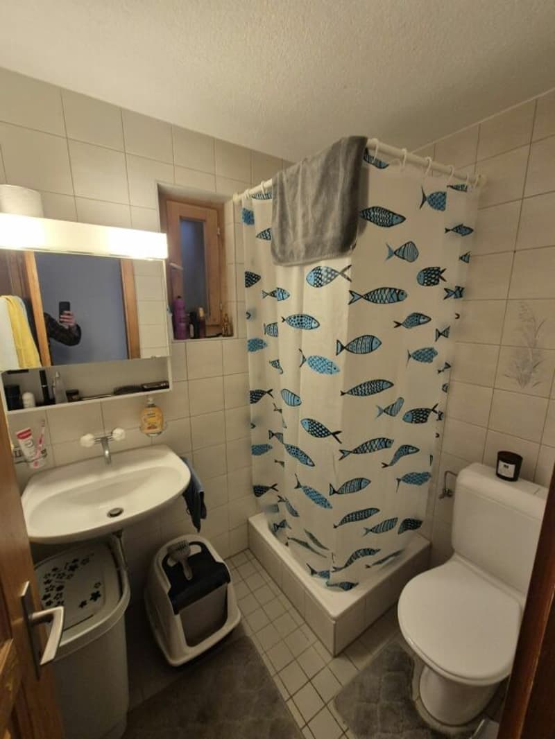 1,5-Zimmer-Wohnung (8)