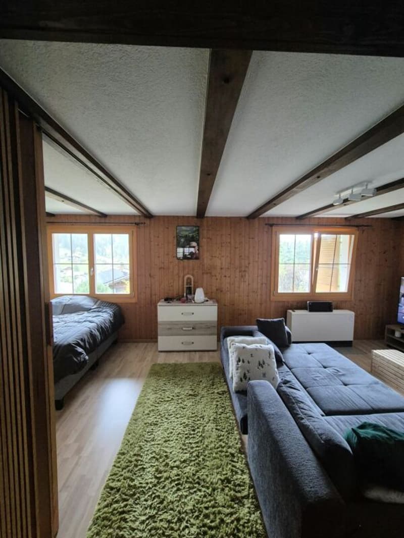 1,5-Zimmer-Wohnung (1)