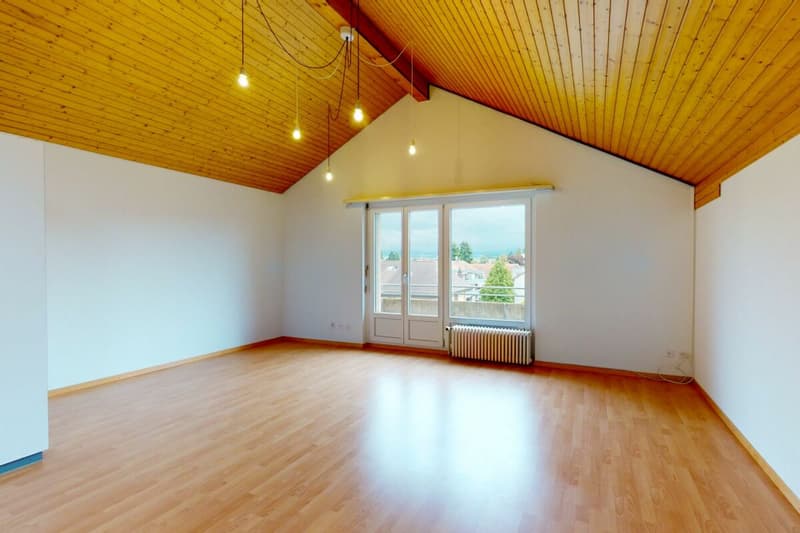 2,5-Zimmer Dachwohnung (4)