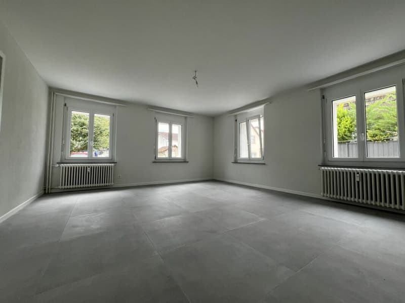 Appartement cosy 3,5 pièces à louer en rez-de-chaussée surélevé ! (4)