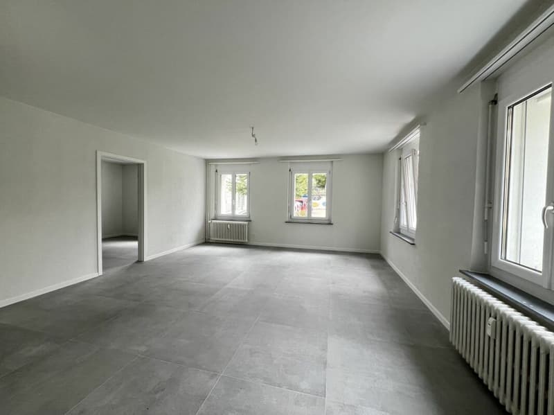 Appartement cosy 3,5 pièces à louer en rez-de-chaussée surélevé ! (3)
