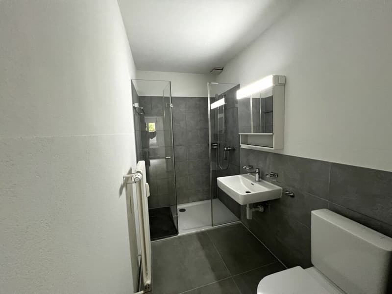 Appartement cosy 3,5 pièces à louer en rez-de-chaussée surélevé ! (7)