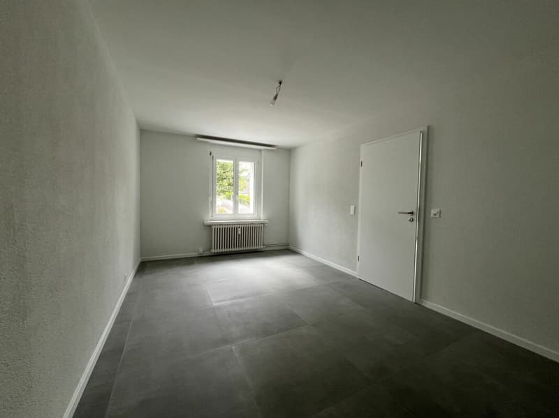 Appartement cosy 3,5 pièces à louer en rez-de-chaussée surélevé ! (5)