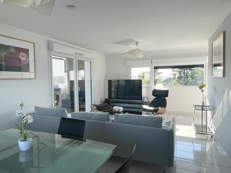 "Traumwohnung - atemberaubende Aussicht ins Dreiländereck/ Rheinhafen Basel,CH / Weil,D / Huningue,F" (4)