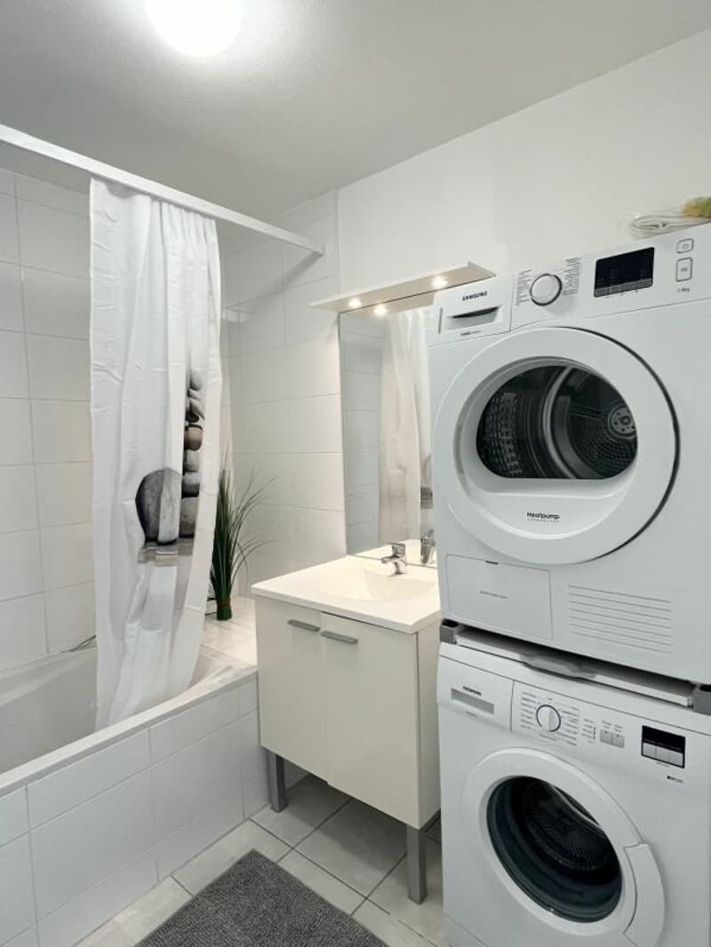 "Traumwohnung - atemberaubende Aussicht ins Dreiländereck/ Rheinhafen Basel,CH / Weil,D / Huningue,F" (9)