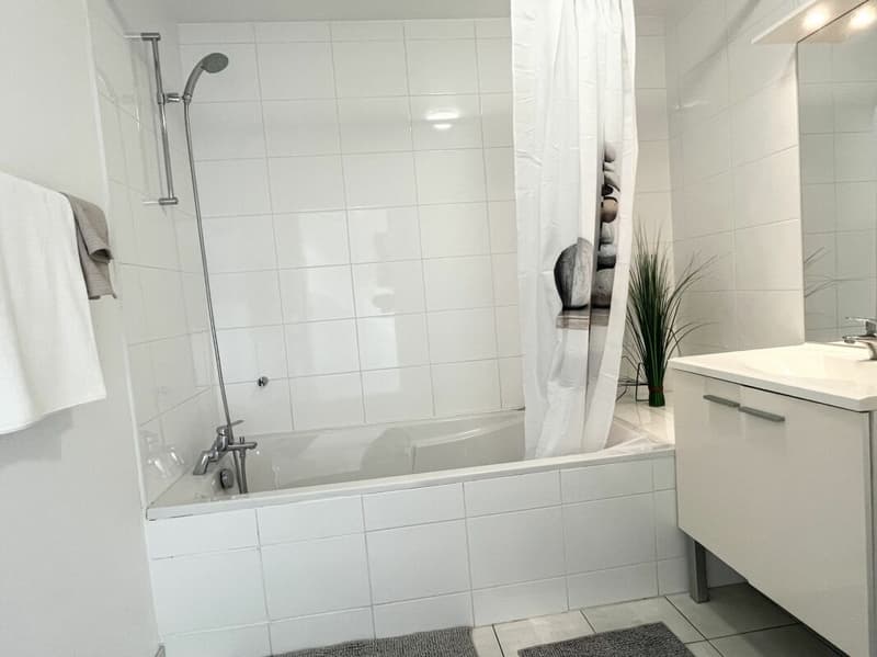 "Traumwohnung - atemberaubende Aussicht ins Dreiländereck/ Rheinhafen Basel,CH / Weil,D / Huningue,F" (8)