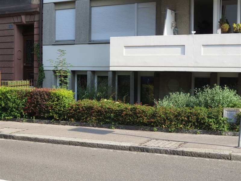 Espace commercial attrayant à Kleinbasel ! (1)