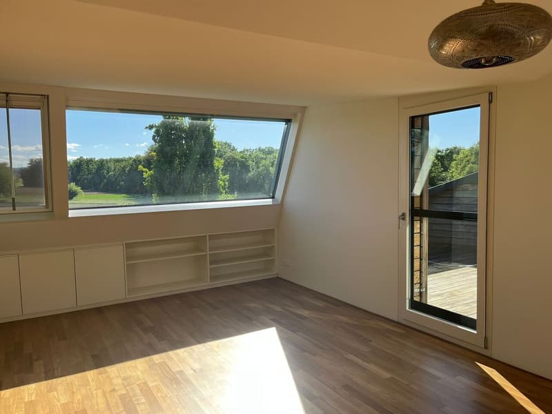 Appartamento di 3,5 locali ad Allschwil con due terrazze sul tetto! (12)