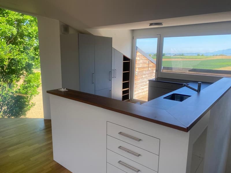 Appartamento di 3,5 locali ad Allschwil con due terrazze sul tetto! (3)
