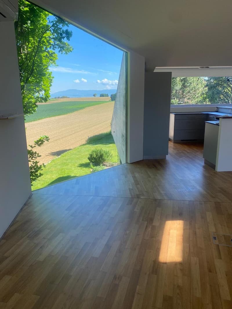 Appartamento di 3,5 locali ad Allschwil con due terrazze sul tetto! (5)