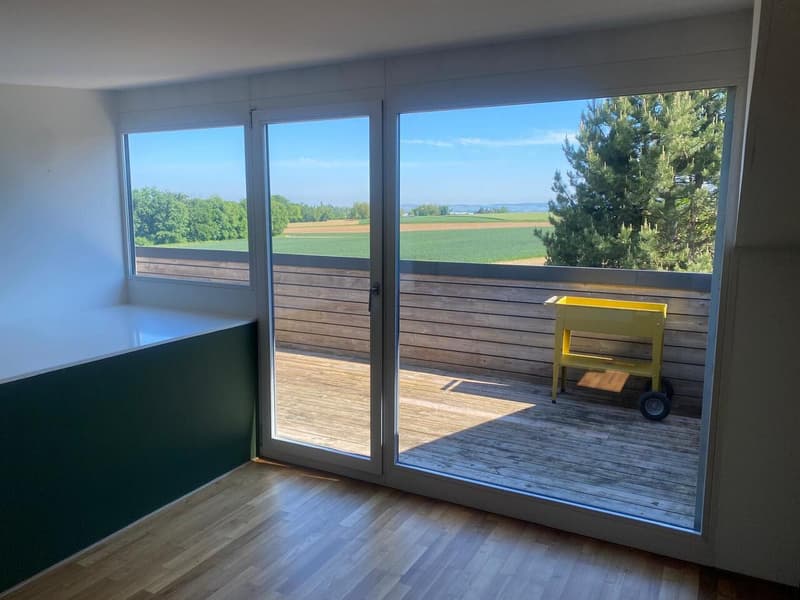 Appartamento di 3,5 locali ad Allschwil con due terrazze sul tetto! (7)