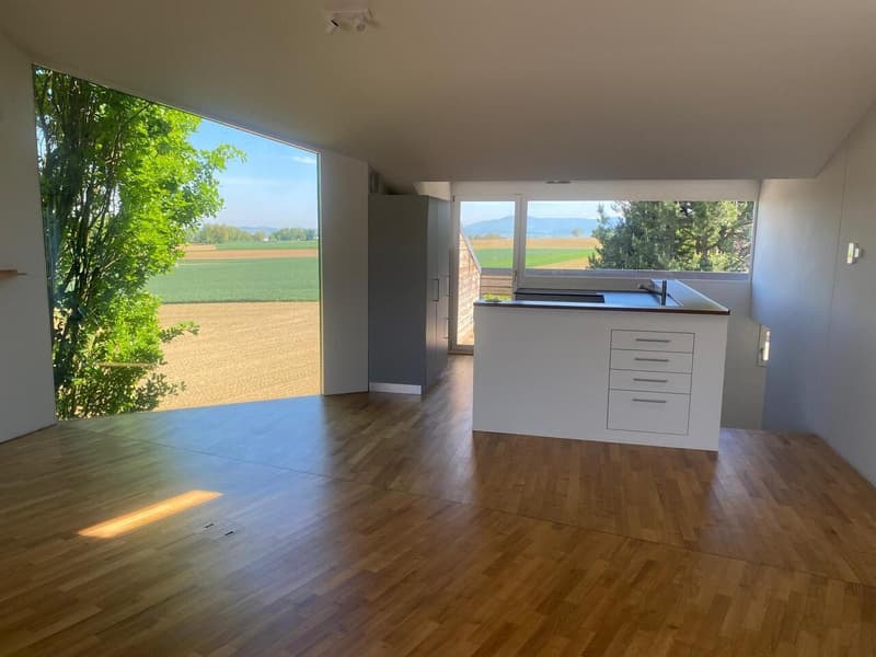 Appartamento di 3,5 locali ad Allschwil con due terrazze sul tetto! (1)