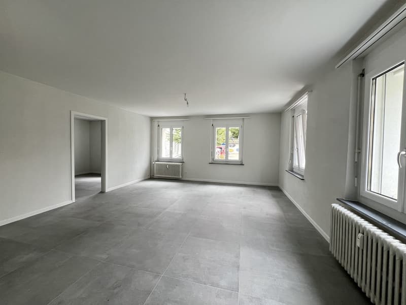 Appartamento 3,5 locali accogliente in affitto al piano rialzato! (3)