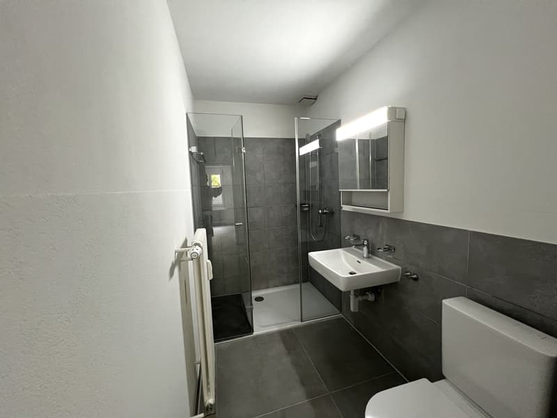 Appartamento 3,5 locali accogliente in affitto al piano rialzato! (7)