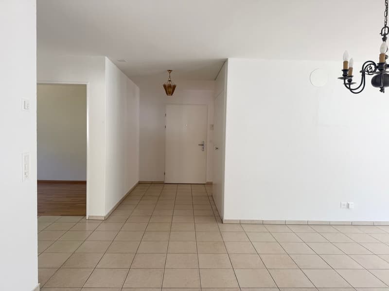 APPARTAMENTO 4,5 LOCALI CON BALCONE SPazioso E LOCALI DI DEPOSITO POLIVALENTI (13)