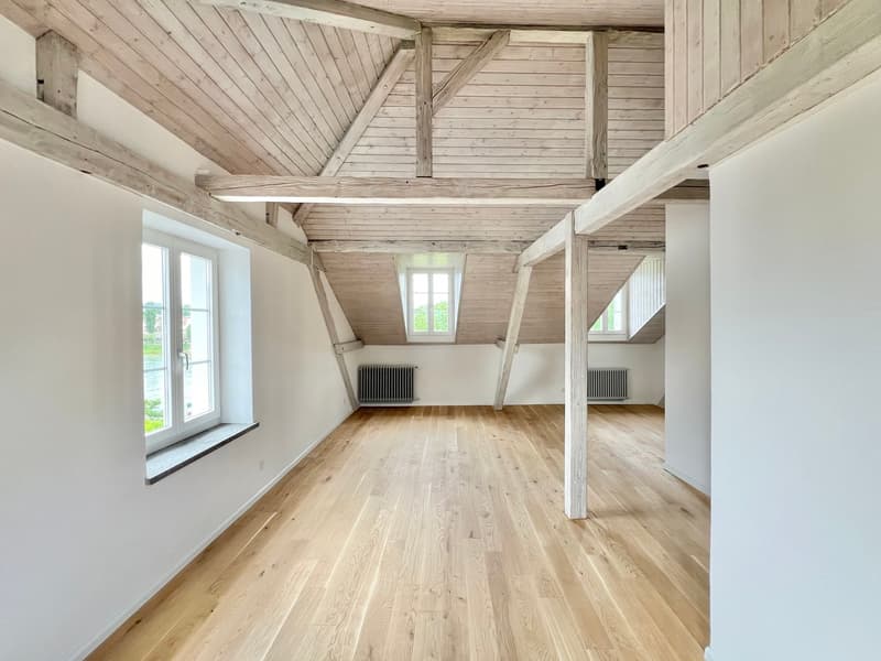 Basler Stadtvilla direkt am Rhein! (7)